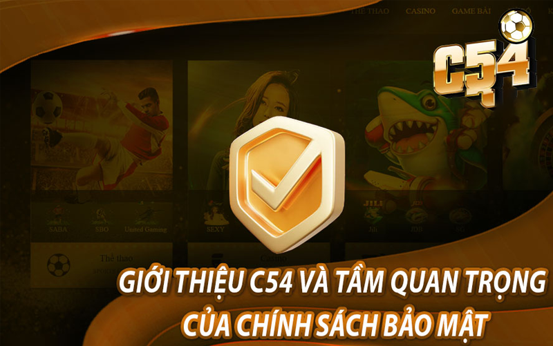 Tầm Quan Trọng Của Chính Sách Bảo Mật Nhà Cái C54